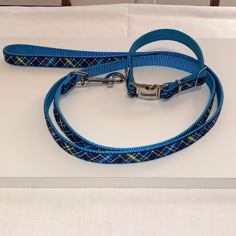 Dog Collar and Leash